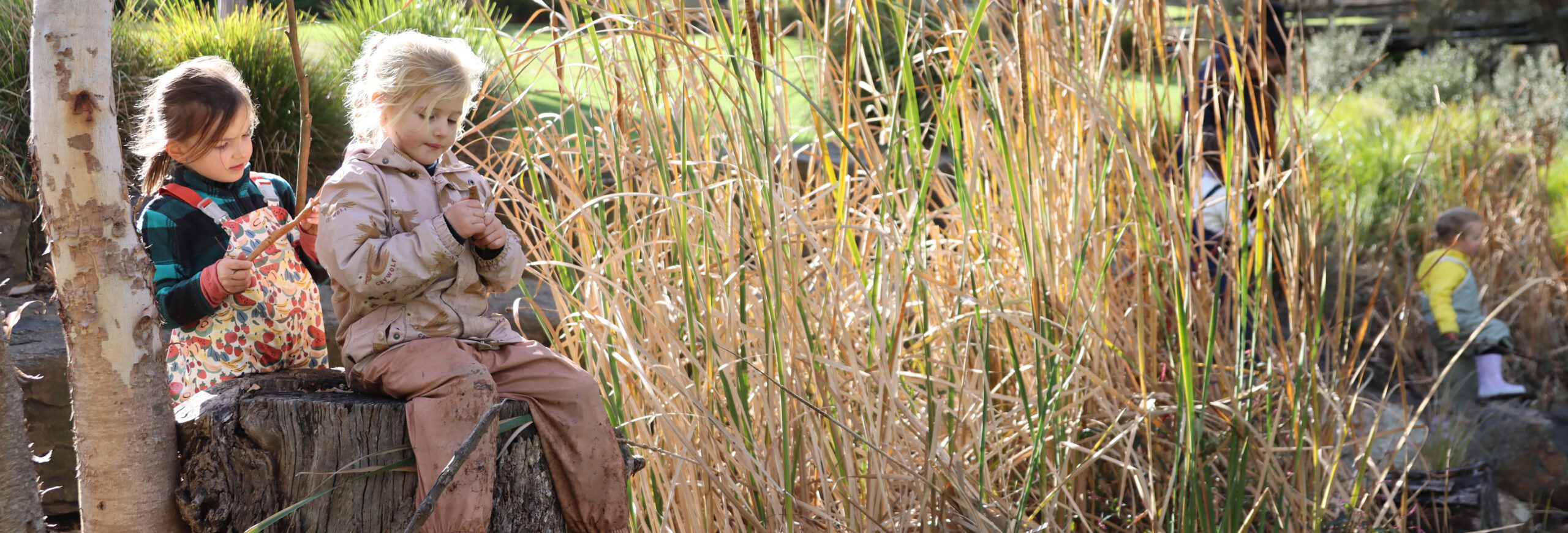 More to Explore banner image.