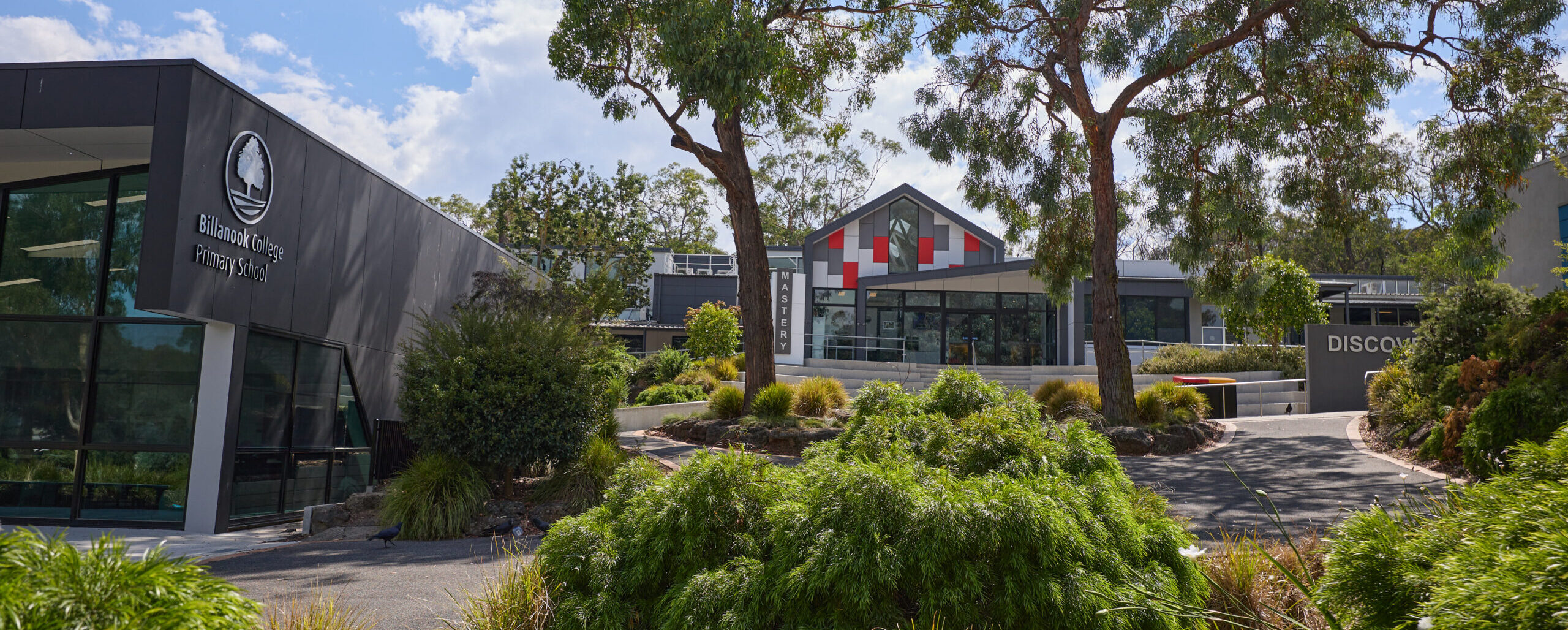 International Program Prospectus banner image.